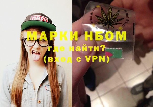 хмурый Алзамай