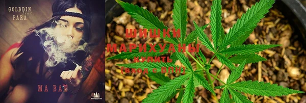 хмурый Алзамай