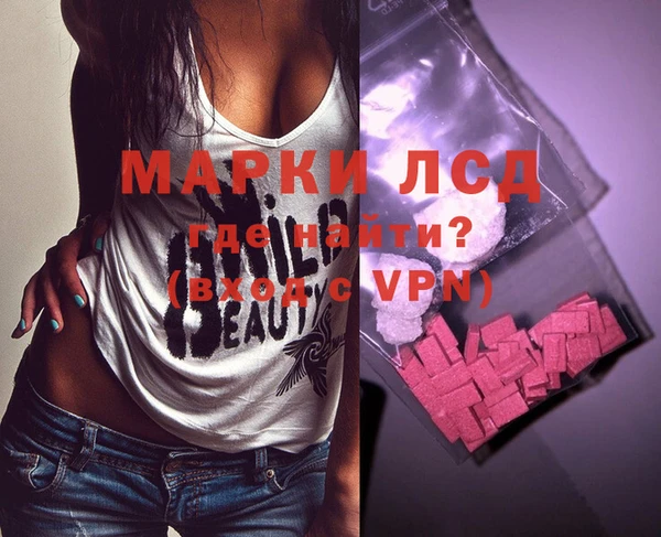 хмурый Алзамай