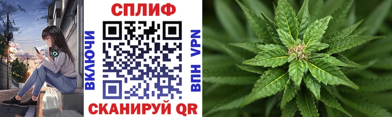 Бошки марихуана THC 21%  Кинель 
